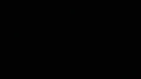 Malocaboy  08-12-2022